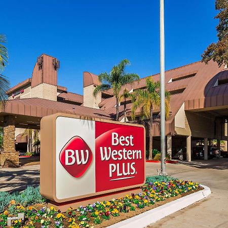 Best Western Plus Irvine Spectrum Hotel Lake Forest Ngoại thất bức ảnh